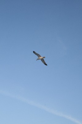 ../Images/2009.05.09 (7).jpg